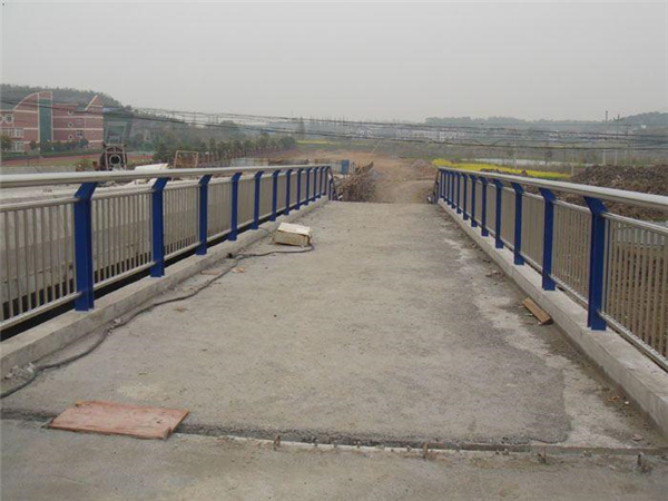乐东桥梁不锈钢护栏